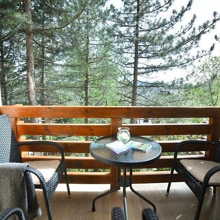 Apartman Silver Lux Zlatibor Bagian luar foto